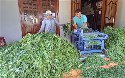 Quảng Nam: Trao sinh kế giúp người dân thoát nghèo