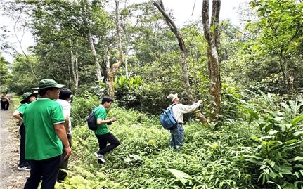 Bảo tồn và phát triển tài nguyên cây thuốc tại Vườn quốc gia Cúc Phương