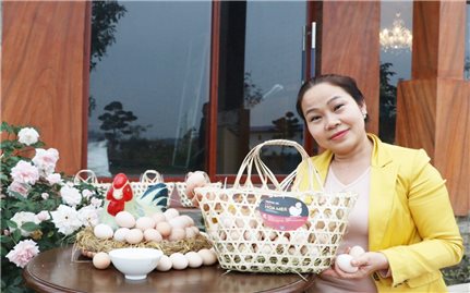 Hiệp Hòa (Bắc Giang): Phấn đấu có công nhận 37 sản phẩm mới đạt chuẩn OCOP trong năm 2024