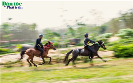 Mãn nhãn màn tranh tài của 64 nài ngựa ở thị xã Nghĩa Lộ, Yên Bái