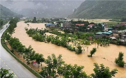 Thủ tướng chỉ đạo khắc phục hậu quả mưa lũ, chủ động ứng phó thiên tai tại miền núi trung du Bắc Bộ