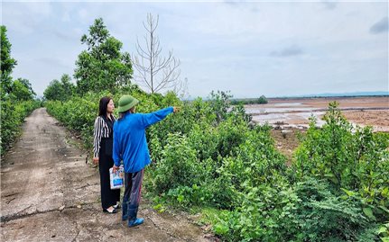 Quảng Ninh: Dự án về thủy sản hàng chục triệu đô vẫn nằm trên giấy