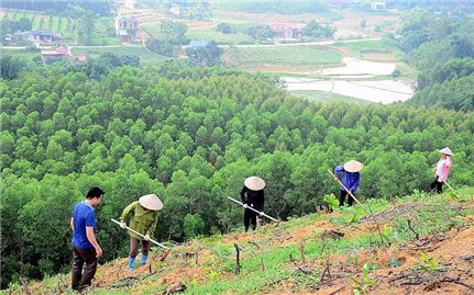 Cần rà soát, xây dựng các chính sách hỗ trợ cải tạo đất nông nghiệp