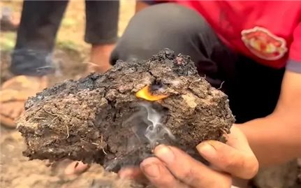 Sự thật về thông tin ruộng lúa tự bốc cháy tại Gia Lai?