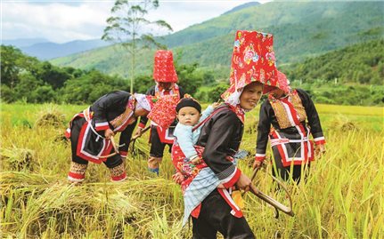 Quảng Ninh: Tập trung giải quyết tình trạng thiếu đất ở, đất sản xuất cho đồng bào DTTS