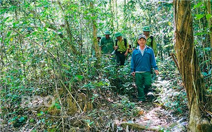 Bình Định: Phân bổ hơn 30 tỷ đồng phát triển kinh tế nông, lâm nghiệp