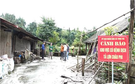 Hà Giang: Xuất hiện ổ dịch tả lợn châu Phi ở huyện Quản Bạ