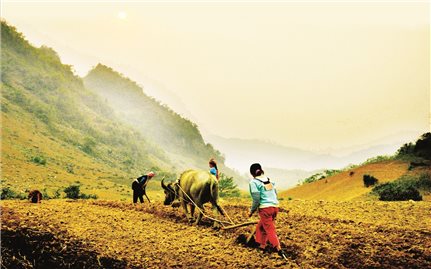 Pú Nhung trên đường đổi mới