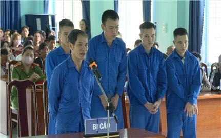 Kon Tum: Phạt 119 tháng tù giam nhóm đối tượng phá rừng tại huyện Đăk Hà