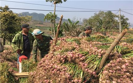 Sơn La phát huy vai trò Người có uy tín trong đồng bào DTTS