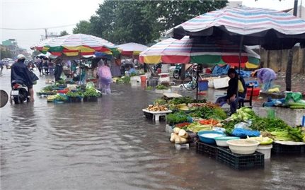 Người dân vùng bão lũ tuyệt đối không sử dụng gia súc, gia cầm chết chế biến thực phẩm