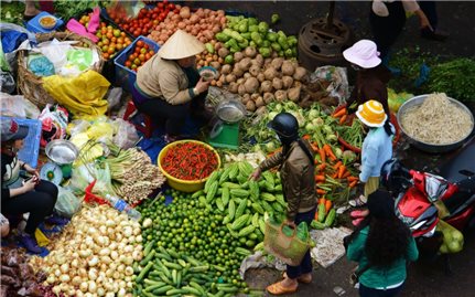 Tăng cường cung ứng hàng hóa thiết yếu phục vụ Nhân dân các địa phương bị ảnh hưởng của cơn bão số 3