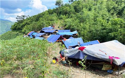 Bắc Hà (Lào Cai): 115 người dân ở thôn Kho Vàng được cung cấp đầy đủ nhu yếu phẩm tại khu lán trại