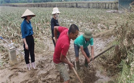 Chính phủ ban hành 6 nhóm nhiệm vụ, giải pháp trọng tâm khắc phục hậu quả bão số 3, đẩy mạnh khôi phục sản xuất kinh doanh