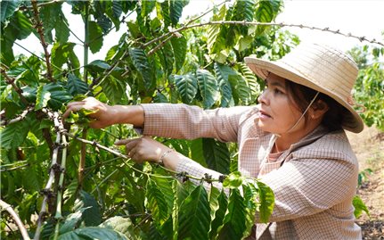 Nữ Bí thư Chi bộ gương mẫu, tận tụy ở Đăk Kan