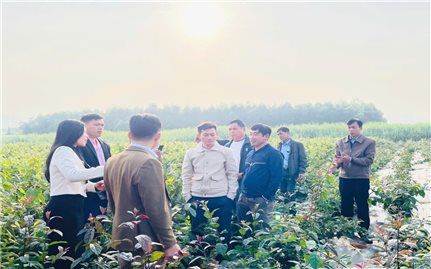 Mai Châu (Hòa Bình): Quan tâm phát triển giáo dục đào tạo nâng cao chất lượng nguồn nhân lực vùng đồng bào DTTS