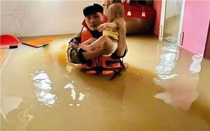 Nhiều nghệ sĩ quyên góp giúp đồng bào khắc phục hậu quả bão số 10