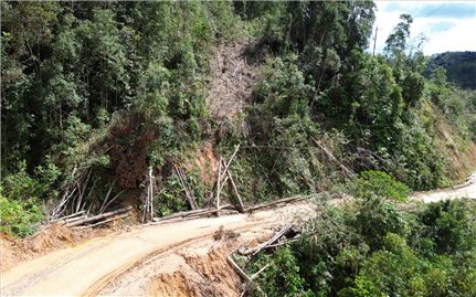 Quảng Ngãi: Người dân sợ hãi với cảnh gỗ nằm chênh vênh trên sườn núi ở tuyến tỉnh lộ 676