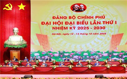 Đại hội Đảng bộ Chính phủ lần thứ I tiến hành phiên trù bị