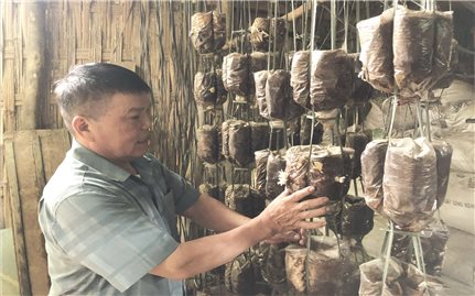 Thêm nhiệm vụ, trách nhiệm càng cao