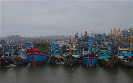 Quảng Ngãi tập trung ứng phó bão số 12, sẵn sàng cho học sinh nghỉ học