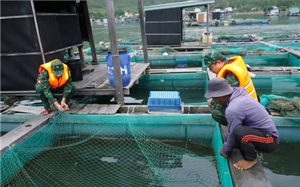 Gia Lai kêu gọi gần 1.900 tàu vào bờ tránh trú bão số 12
