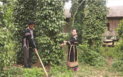 Buôn Thung hôm nay