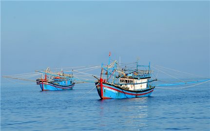 Thủ tướng Chính phủ Phạm Minh Chính yêu cầu kiên quyết xử lý triệt để với các hành vi vi phạm quy định về IUU
