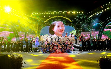 Tuyên Quang chuẩn bị mùa hoa Tam giác mạch 2025