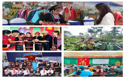 Thiết kế xây dựng Dự án 8 giai đoạn 2026-2030: Tiếp tục duy trì, nhân rộng các mô hình của Dự án 8 (Bài 3