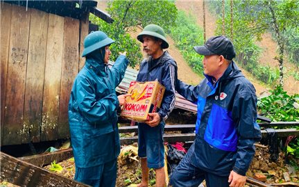 Đà Nẵng xảy ra sạt lở nghiêm trọng tại xã Trà Tân