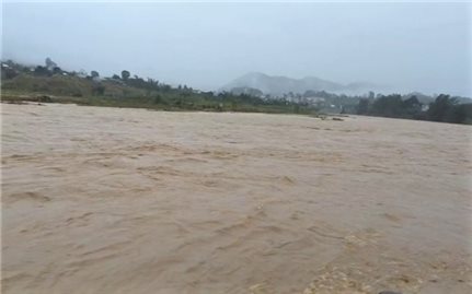 Quảng Ngãi: Đánh bắt cá khi nước lũ về trên sông Pô Kô, người đàn ông bị nước cuốn mất tích