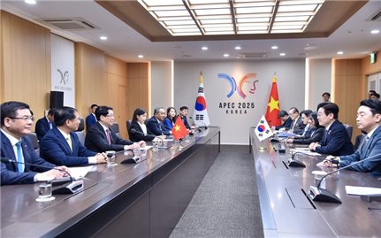 Chủ tịch nước Lương Cường hội đàm với Tổng thống Hàn Quốc Lee Jae Myung