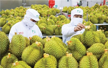 Xuất khẩu nông sản Việt Nam trên đà về đích