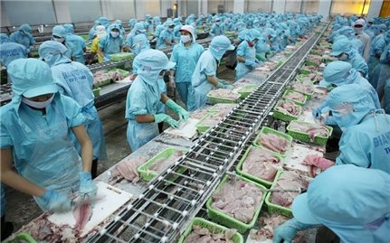 Xuất khẩu nông, lâm, thủy sản vững đà tăng trưởng, tự tin cán mốc 70 tỷ USD