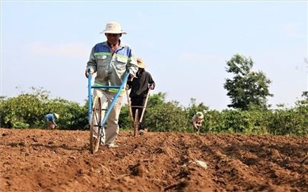 Đề xuất sửa đổi các quy định về tiền sử dụng đất