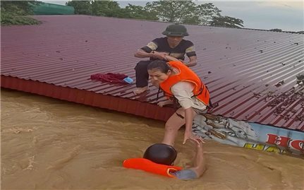 Nếu có kiếp sau, cũng xin là người Việt Nam!
