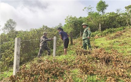 Bước phát triển mới ở Rào Tre