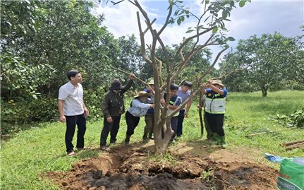 Khuyến nông Quốc gia trực tiếp hỗ trợ người dân phục hồi sản xuất sau bão