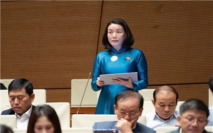 Già hóa dân số đang là vấn đề cấp bách