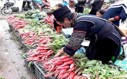 Kết luận của Ban Bí thư về công tác bảo vệ quyền lợi của người tiêu dùng