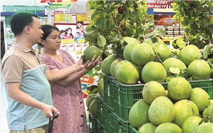 Chuyển đổi số tạo cơ hội cho hợp tác xã vùng đồng bào DTTS