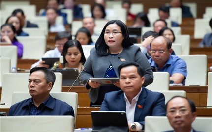 Luật Giáo dục nghề nghiệp cần có ưu đãi đặc biệt cho người học nghề truyền thống, người học ở vùng sâu, vùng xa