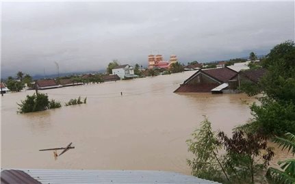 Đắk Lắk công bố tình huống khẩn cấp về thiên tai ở 40 xã, phường