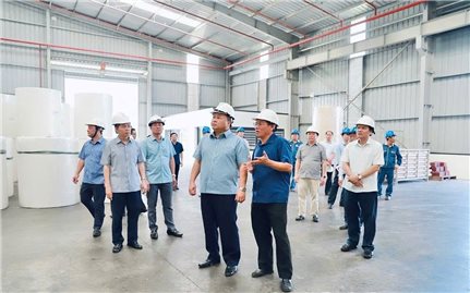 Tuyên Quang bứt phá thu hút đầu tư, tạo động lực cho kinh tế tư nhân phát triển