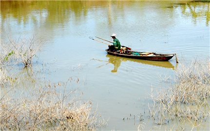 Tái diễn tình trạng đánh bắt cá bằng kích điện hủy hoại môi trường