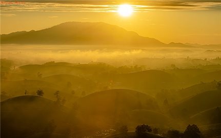 Chiêm ngưỡng vẻ đẹp huyền ảo của đồi chè Long Cốc trong giai đoạn chuyển mùa