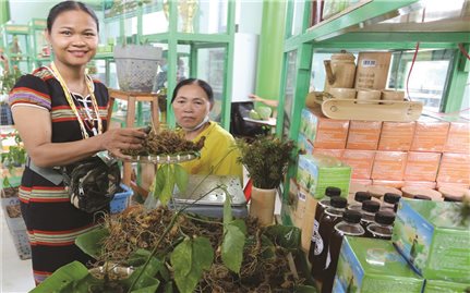 Gặp những người nông dân vượt khó làm giàu