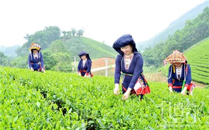 Một số chính sách mới có hiệu lực từ tháng 12/2025