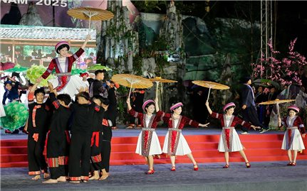 Tuyên Quang: Lễ hội Hoa tam giác mạch sẽ khai mạc vào ngày 29/11